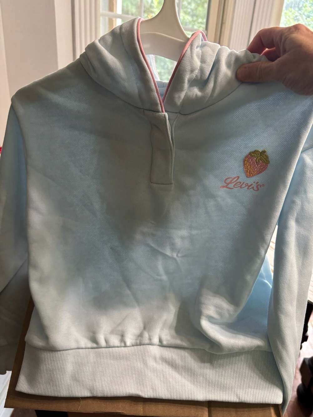 Levi's Girls Country Air Strawberry Pullover Hoodie